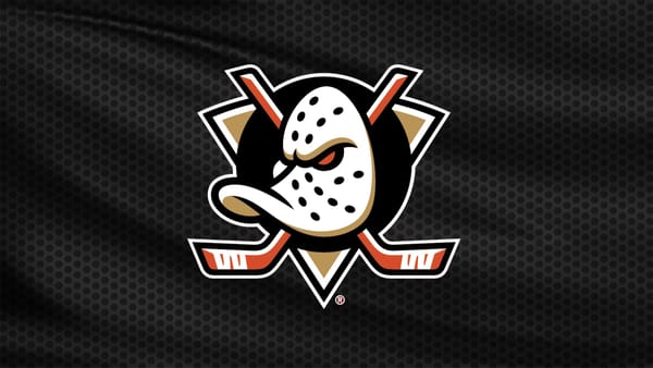 Anaheim Ducks v Florida Panthers