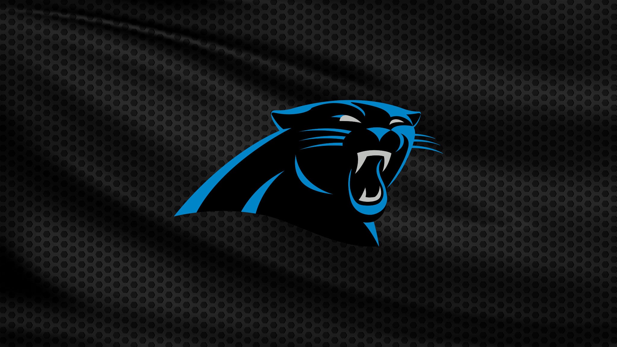 Carolina Panthers vs Miami Dolphins